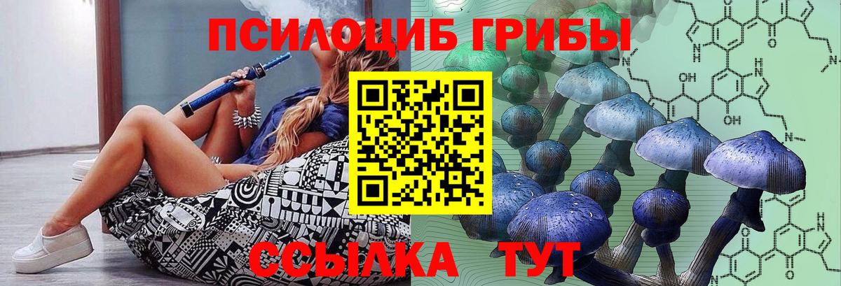 Димитровград  Псилоцибиновые грибы MAGIC MUSHROOMS  Галлюциногенные грибы Psilocybe  Вход с VPN 